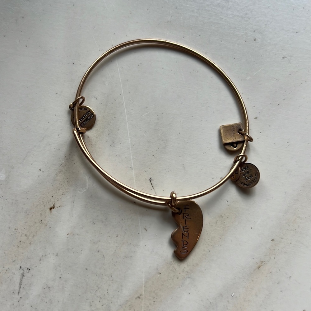Alex And Ani Friends Bracelet Gold